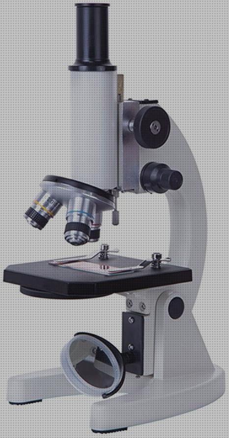 Los Mejores Microscopios X Mes Opiniones