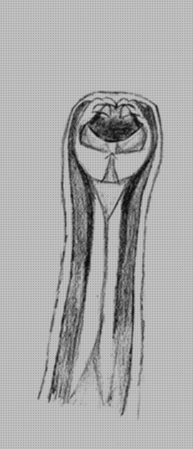 Review de ancylostoma caninum vista microscopio