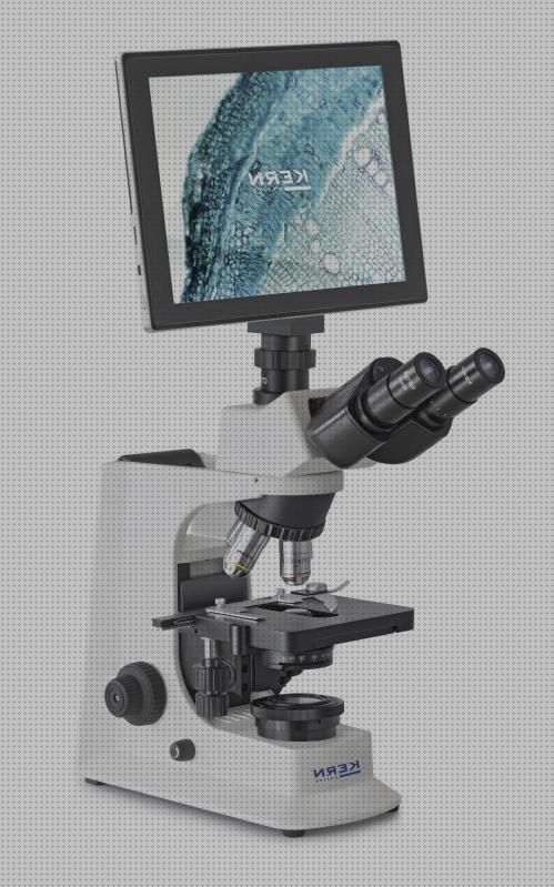 Las mejores marcas de Más sobre binocular 8x36 Más sobre binocular 8x36 Más sobre estereomicroscopio binocular binocular 12