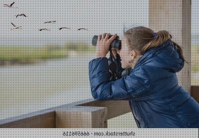 ¿Dónde poder comprar Más sobre estereomicroscopio binocular Más sobre minox 62216 binocular binocular binocular birds?