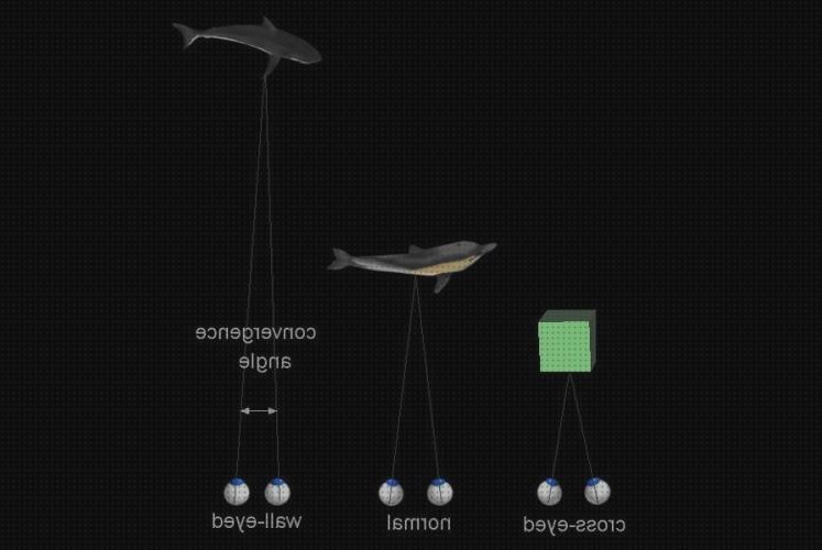 Los 25 Mejores binocular depth