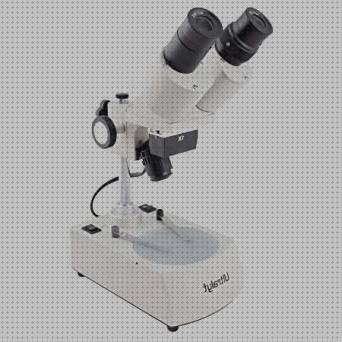 Las mejores marcas de Más sobre binocular 8x36 Más sobre estereomicroscopio binocular Más sobre minox 62216 binocular binocular lupar