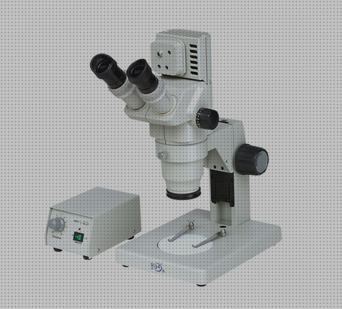 ¿Dónde poder comprar Más sobre binocular 8x36 Más sobre estereomicroscopio binocular Más sobre minox 62216 binocular binocular stereoscope?