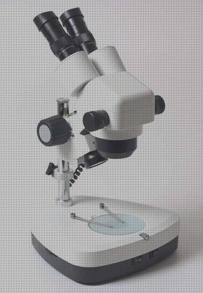 Las mejores marcas de Más sobre binocular 8x36 Más sobre binocular 8x36 Más sobre estereomicroscopio binocular binoculos lupa binocular