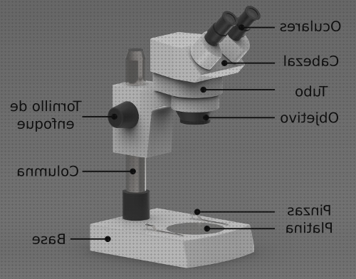 Las mejores cabezal revolver microscopio optico