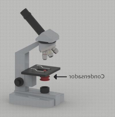 Los 30 Mejores condensadores microscopios electronicos