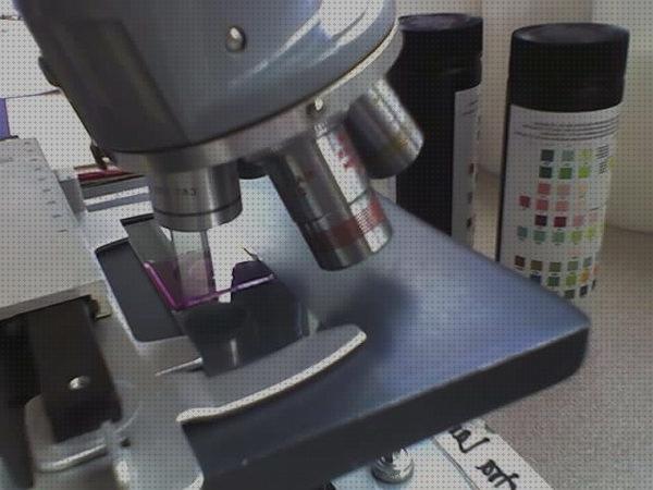 Las mejores marcas de fijadores fijadores microscopio optico