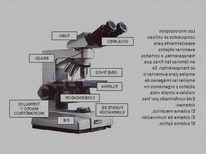 37 Mejores artículos para funciones microscopios