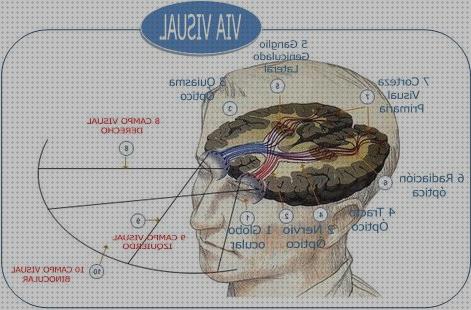 Las mejores 19 Fusiones Visión Binocular