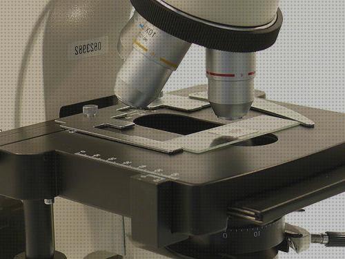 35 Mejores microscopios grandes