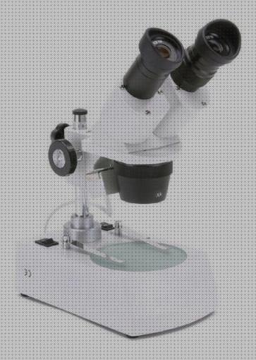 Las mejores marcas de Más sobre binocular 8x36 Más sobre binocular 8x36 Más sobre estereomicroscopio binocular lupa binocular cultivos