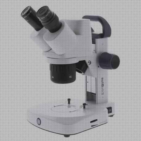 Las mejores Más sobre binocular 8x36 Más sobre binocular 8x36 Más sobre estereomicroscopio binocular lupa binocular edublue