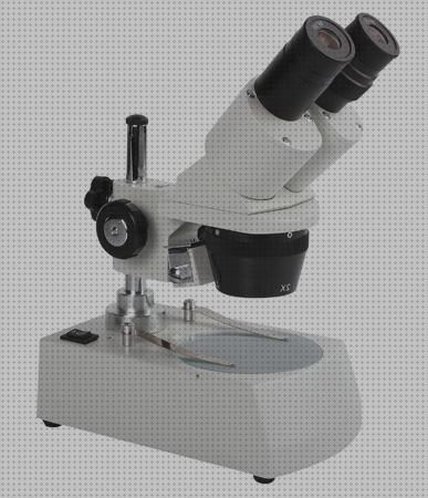 Las mejores marcas de Más sobre binocular 8x36 Más sobre binocular 8x36 Más sobre estereomicroscopio binocular lupa binocular microscopica