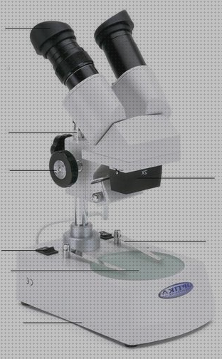 Análisis de las 34 mejores lupas binocular noms