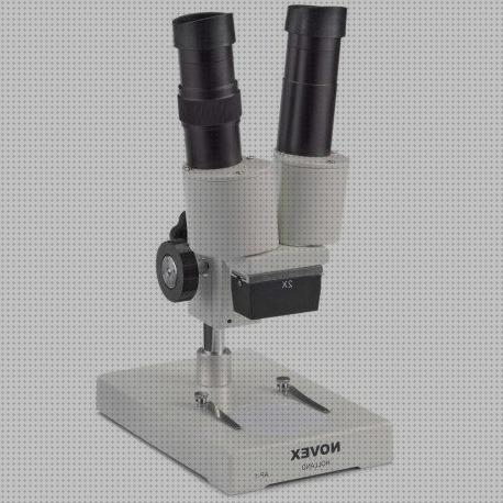 Las mejores marcas de Más sobre binocular 8x36 Más sobre binocular 8x36 Más sobre estereomicroscopio binocular lupa binocular objetivos