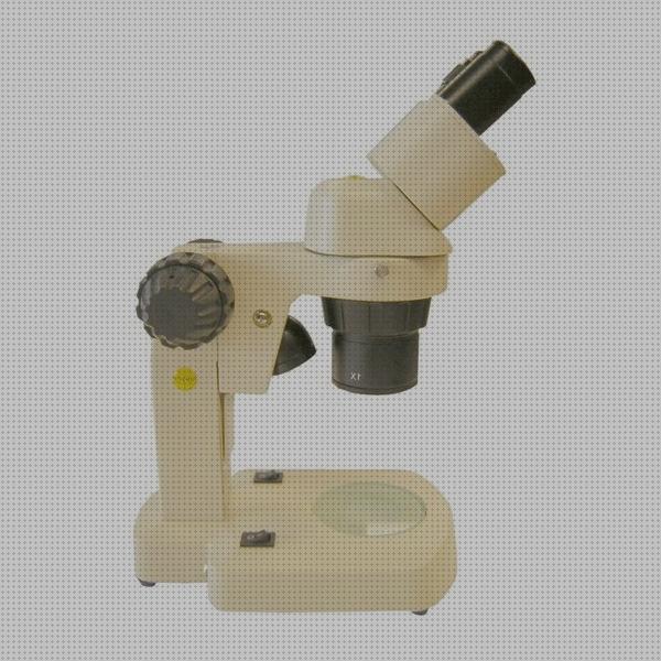 Las mejores marcas de Más sobre binocular 8x36 Más sobre binocular 8x36 Más sobre estereomicroscopio binocular lupa binocular pnt