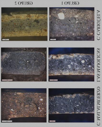 Las mejores marcas de Más sobre microscopio binocular biologico xsp 102 Más sobre binocular 8x36 Más sobre binocular 8x36 lupa binocular wild heerbrugg