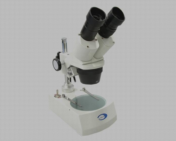 ¿Dónde poder comprar lupas binoculares binoculares lupas binoculares biologia?