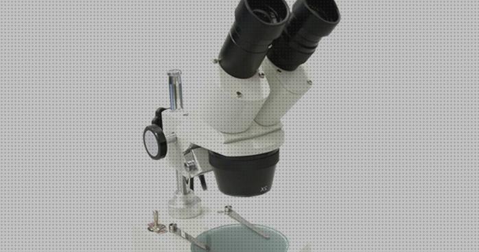 Las mejores lupas binoculares binoculares lupas binoculares biologia