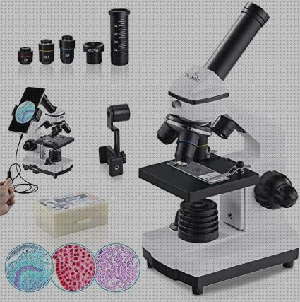 Las mejores marcas de Más sobre microscopio óptico 400 euros microscopio 2000x