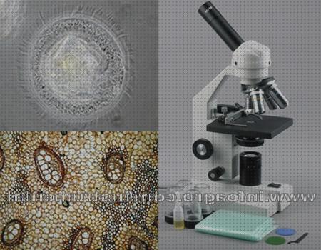 Las mejores Más sobre microscopio óptico 400 euros microscopio 2000x