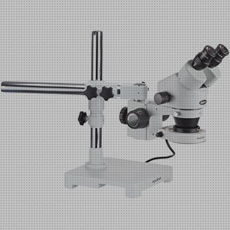 Las mejores Más sobre microscopio anatomia microscopios microscopio 3b