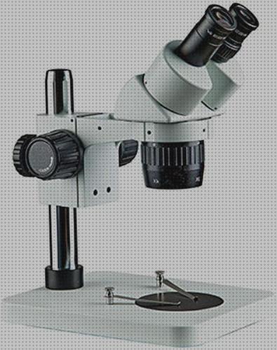 Las mejores marcas de microscopio anatomia