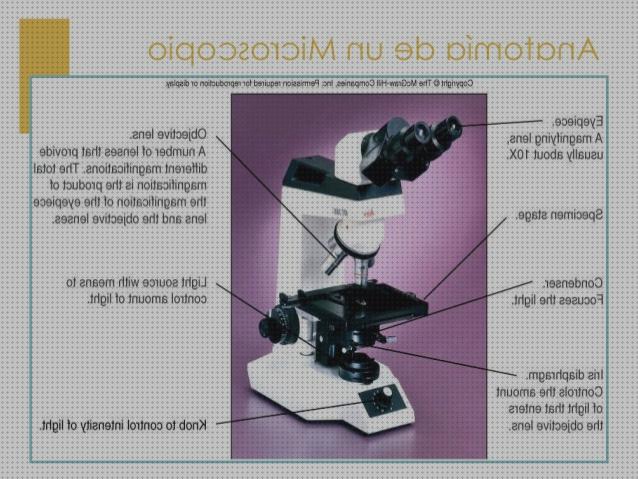 ¿Dónde poder comprar microscopio anatomia?