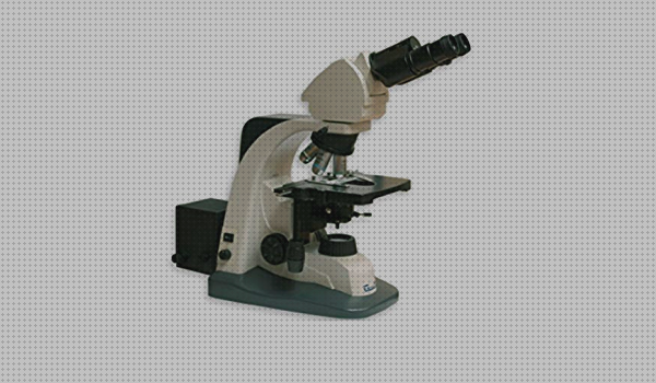 Las mejores marcas de microscopio binocular binocular microscopio binocular b g