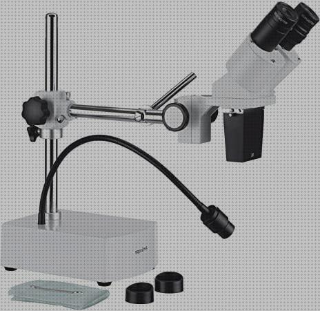 Opiniones de los 20 mejores Microscopios Binocular Con Brazos