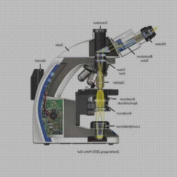 ¿Dónde poder comprar microscopio binocular zeiss binocular microscopio binocular primo star zeiss?