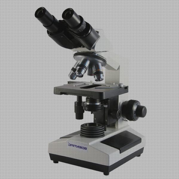 Las mejores marcas de microscopio binocular binocular microscopio binocular profesional