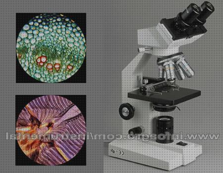 ¿Dónde poder comprar microscopio binocular binocular microscopio binocular utilidad?