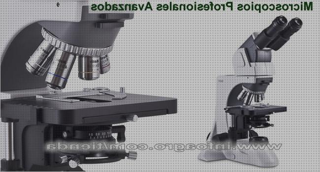 Las mejores biologico microscopio biologico caracteristicas