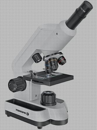 Análisis de los 32 mejores microscopios coloreados del mundo