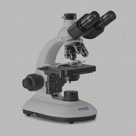Las mejores marcas de microscopios microscopio compuesto
