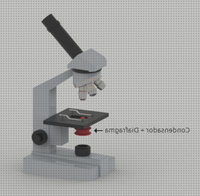 Las mejores marcas de Más sobre microscopio anatomia microscopios microscopio condensador y diafragma