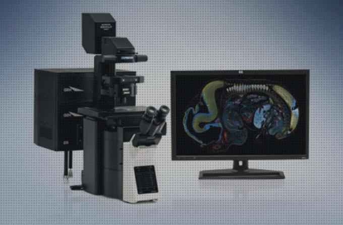 Las mejores microscopio laser microscopio confocal laser