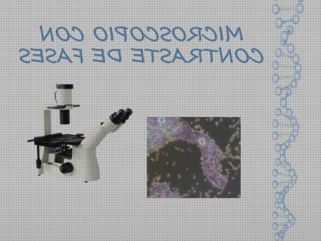 Las mejores marcas de contraste microscopio de contraste de fases resolucion