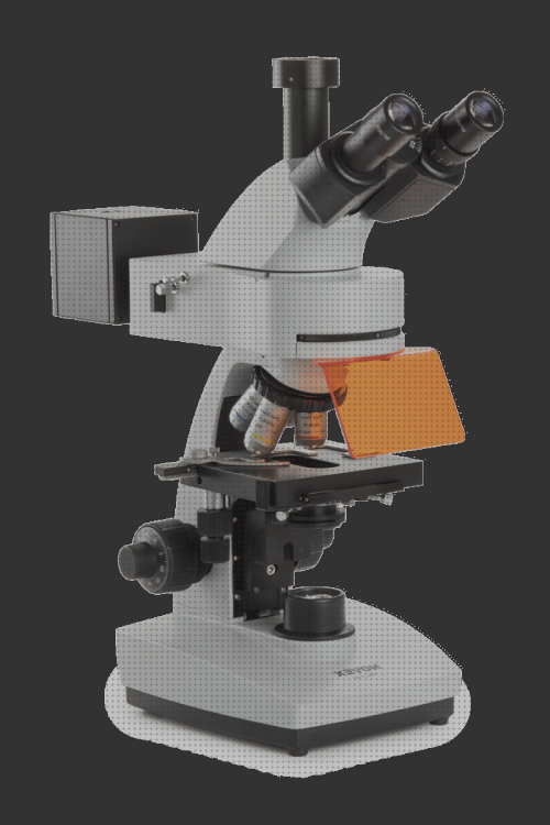 Análisis de los 18 mejores Microscopios De Epifluorescencia Y Fluorescencia