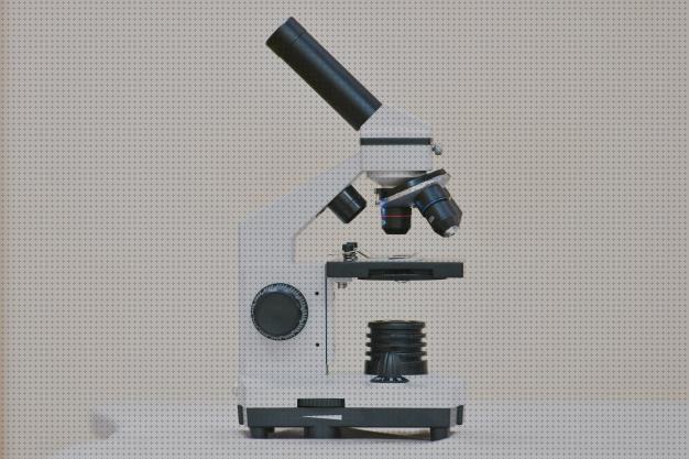 Las mejores microscopio de fondo claro
