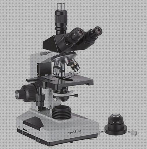 Las mejores fondos microscopios microscopio de fondo oscuro