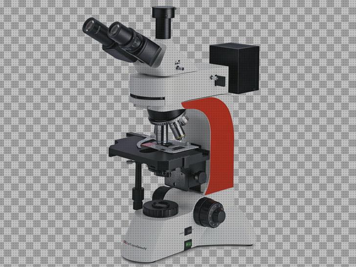 Las mejores marcas de fluorescencia microscopio de luz fluorescencia