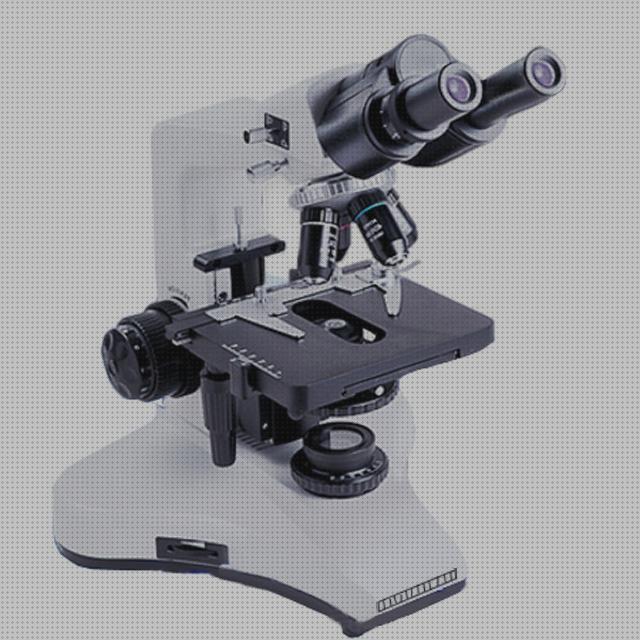 Análisis de los 36 mejores Microscopios Digitales Usb 10000x