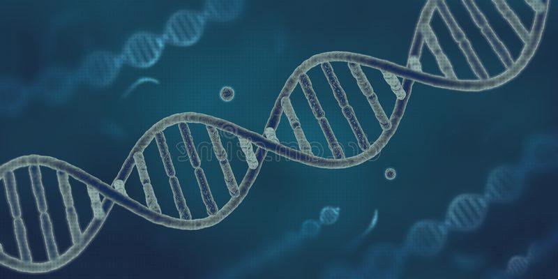 ¿Dónde poder comprar microscopio dna?