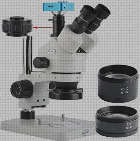 Las mejores marcas de Más sobre microscopio electronico de barrido eds Más sobre telescopio terrestre reticula Más sobre microscopio electronico poros nucleares microscopio electronica 3 5x 90x