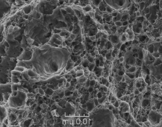 TOP 24 microscopios electronicos aceros