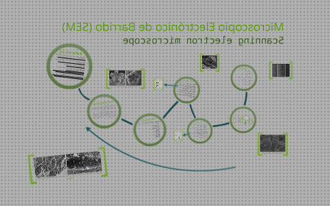 Los 28 Mejores Microscopios Electronicos De Barridos Conclusion