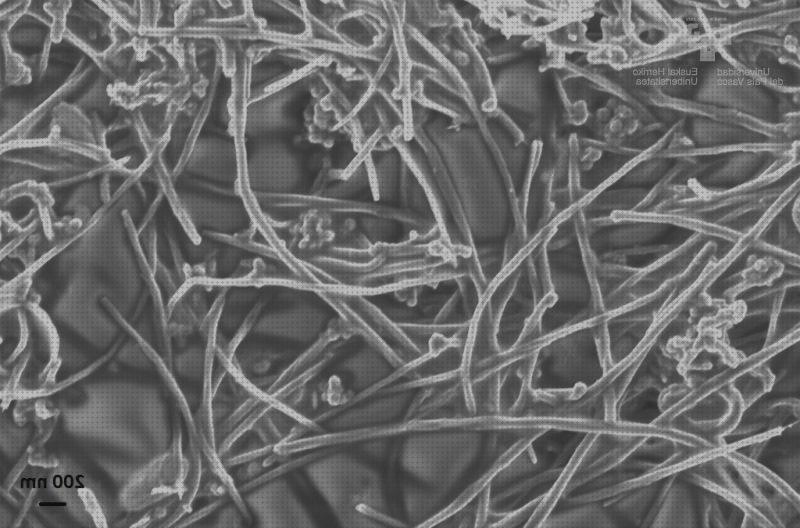 ¿Dónde poder comprar microscopio electrónico de barrido ehu?