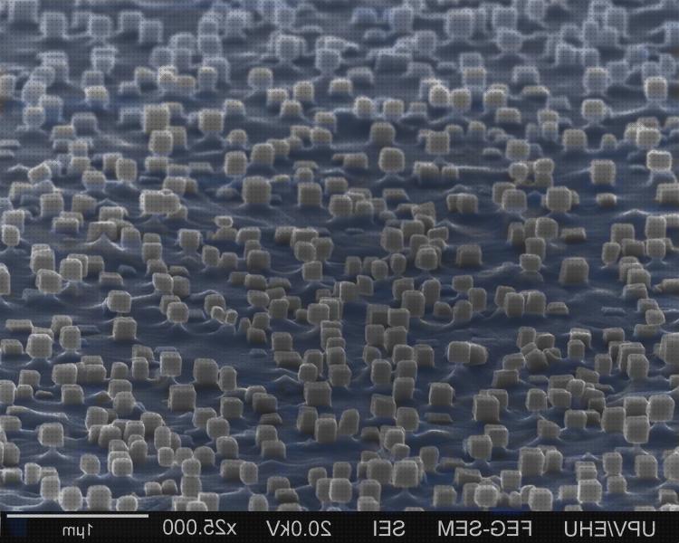 Opiniones de los 18 mejores Microscopios Electrónicos De Barridos Ehu